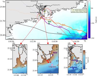 Propagation and dissipation of typhoon-induced surface waves along the Pearl River Estuary